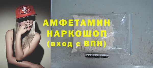 крисы Абаза