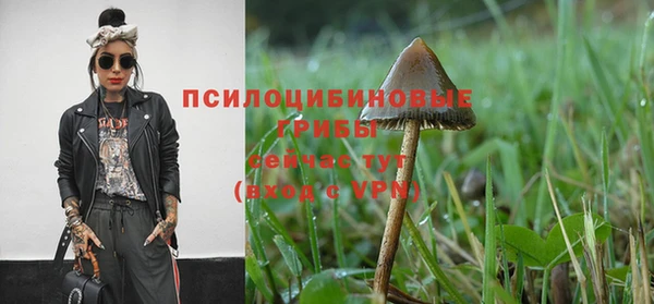 герыч Абинск